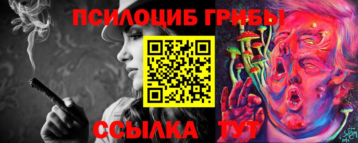 Галлюциногенные грибы мицелий  Вход с VPN  продажа наркотиков  Осинники 