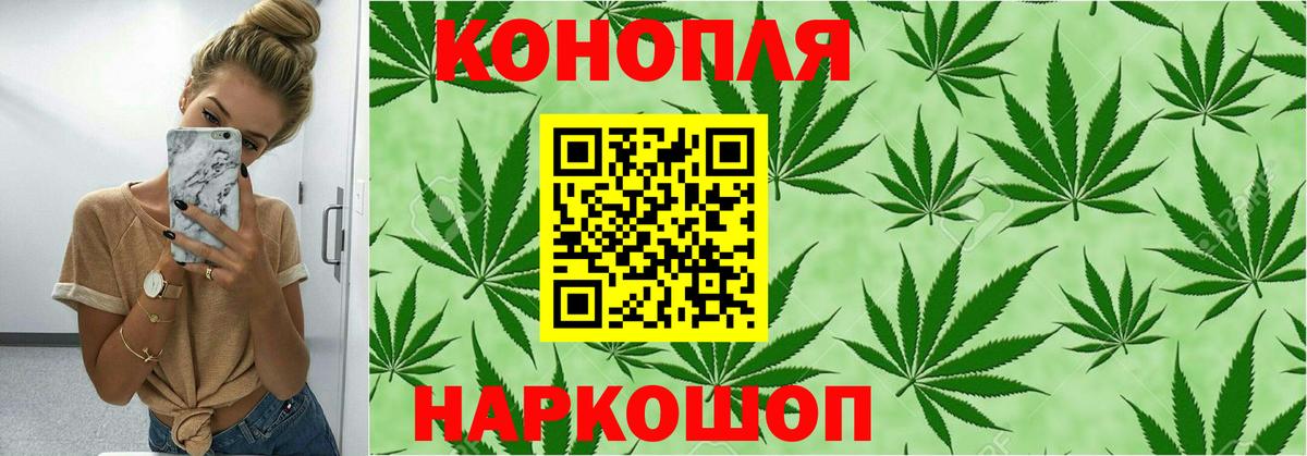 Шишки марихуана LSD WEED  Вход с VPN  Марихуана Amnesia  МАРИХУАНА тримм  Конопля марихуана  Осинники 